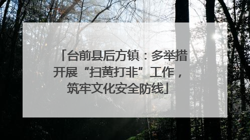 台前县后方镇：多举措开展“扫黄打非”工作，筑牢文化安全防线